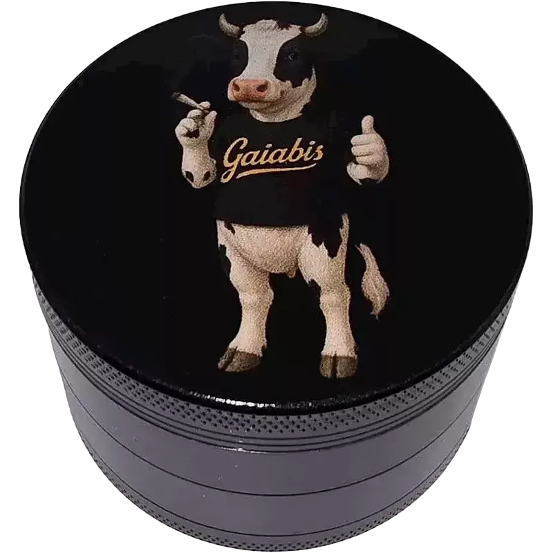 Gaiabis – Grinder Vache 62 mm