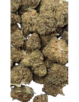 Swiss Botanic – Nano Nuggs Glue Gelato Indoor 30g