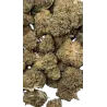 Swiss Botanic – Nano Nuggs Glue Gelato Indoor 30g