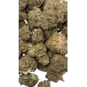 Swiss Botanic – Nano Nuggs Glue Gelato Indoor 30g