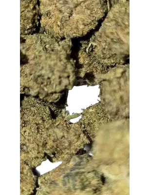 Swiss Botanic – Nano Nuggs Critical Sensi Star Indoor 30g