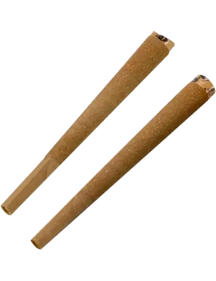 G-Rollz – Passion Haze Hemp Cones Vorge­drehte Cones 109 mm