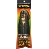 G-Rollz – Tropical Twist Hemp Cones Vorge­drehte Cones 109 mm