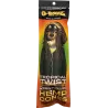 G-Rollz – Tropical Twist Hemp Cones Vorge­drehte Cones 109 mm