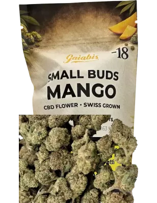 Gaiabis – Small Buds Mango CBD Indoor 20 g