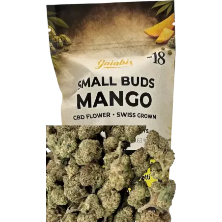 Gaiabis – Small Buds Mango CBD Indoor 20 g