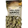 Gaiabis – Small Buds Mango CBD Indoor 20 g