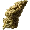 Blueberry Muffin Outdoor – CBD-Blüten 40g