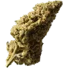 Blueberry Muffin Outdoor – 40 g CBD flowers