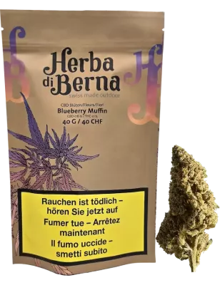 Blueberry Muffin Outdoor – fiori di CBD 40g