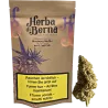 Blueberry Muffin Outdoor – CBD-Blüten 40g
