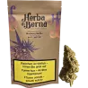 Blueberry Muffin Outdoor – 40 g CBD flowers