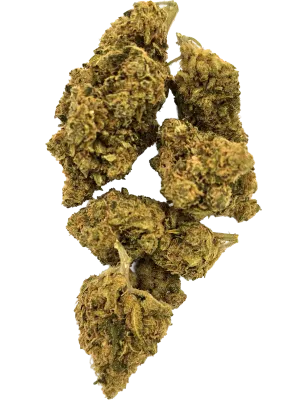 Gaiabis – Amnesia Fiore di CBD Indoor – 5g/10g