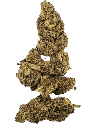 Gaiabis White Runtz Fiori CBD Indoor – 5 g / 10 g