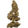 Gaiabis White Runtz Indoor CBD Flower – 5 g / 10 g