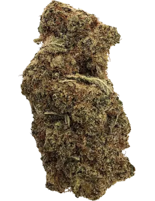 Gaiabis Bubble Gum CBD-Blüten Indoor – 5 g / 10 g