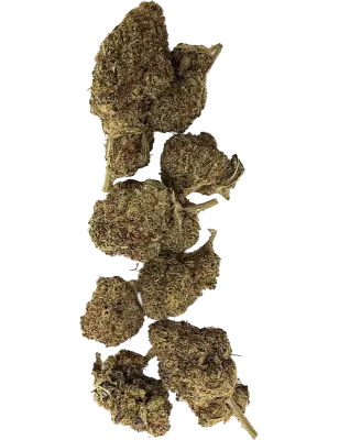 Gaiabis Bubble Gum CBD-Blüten Indoor – 5 g / 10 g