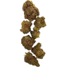 Gaiabis Maui Waui CBD Indoor Flower – 5 g / 10 g