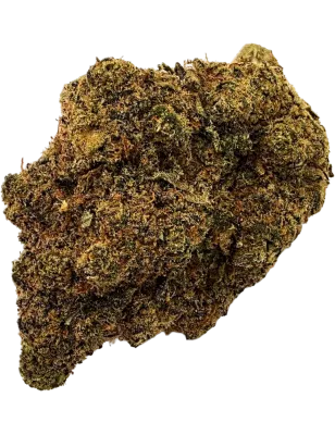 Gaiabis Maui Waui Fleurs CBD Indoor – 5 g / 10 g