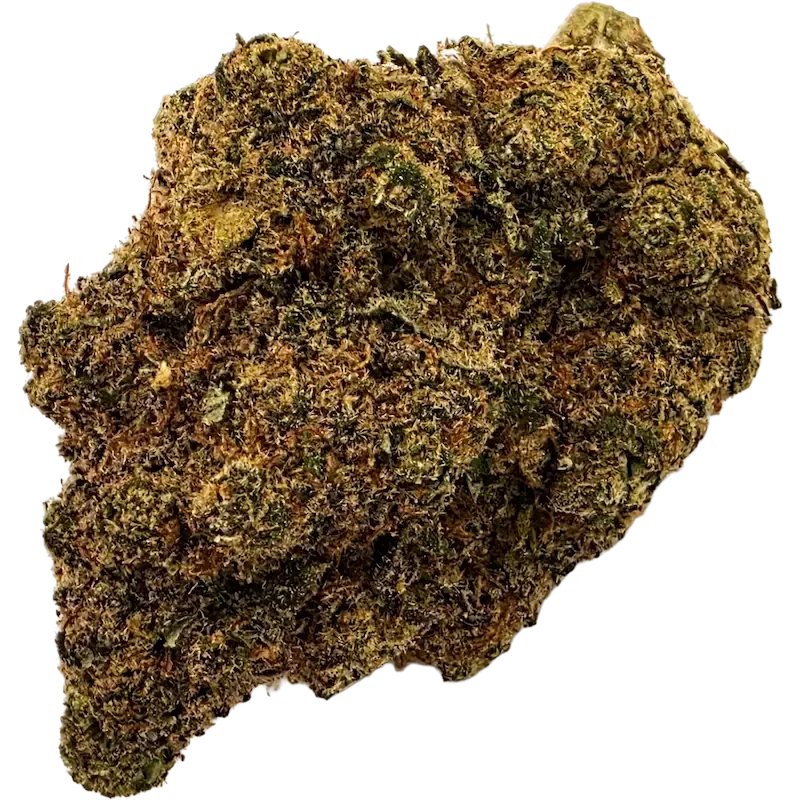 Gaiabis Maui Waui Fleurs CBD Indoor – 5 g / 10 g