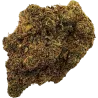 Gaiabis Maui Waui CBD Indoor Flower – 5 g / 10 g