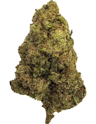 Gaiabis Blue Dream N° 2 Indoor-CBD-Blüten – 5 g / 10 g