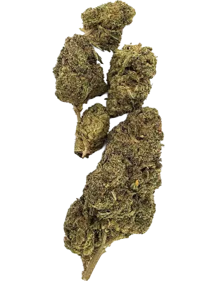 Gaiabis Blue Dream N° 2 Fleurs CBD Indoor – 5 g / 10 g