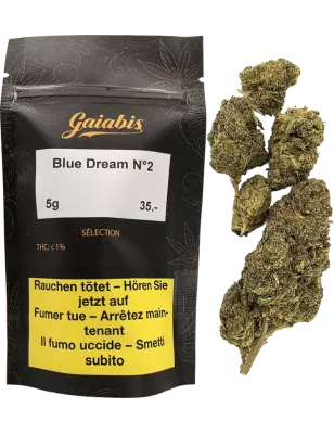 Gaiabis Blue Dream N° 2 Fiori CBD Indoor – 5 g / 10 g