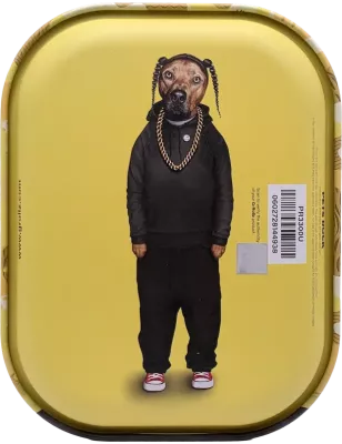 G-Rollz Pets Rock Rap Plateau à rouler double face – Mini – 18 × 14 cm