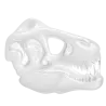 Hemper Jurassic Spark Skull Frosted Glass Hand Pipe – 10.7 cm