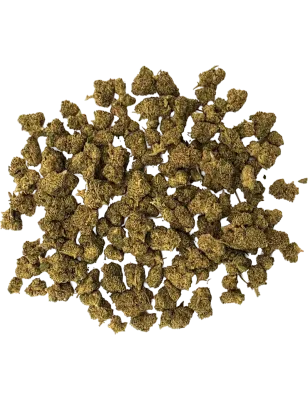 Gaiabis Maui Waui Small Buds Indoor CBD Flower – 20 g