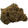 Gaiabis Maui Waui Small Buds CBD-Blüten Indoor – 20 g