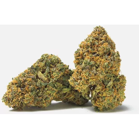 Qualicann Banana Diesel CBD Blüten 2g/5.5g