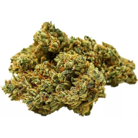 Qualicann – Sweet Star Fleurs de CBD 2g/5.5g
