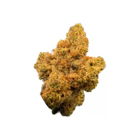 Cannabees – Orange Ice Fleurs de CBD 4g/10g