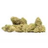Extract Lab – Harlequin X Cannatonic Indoor