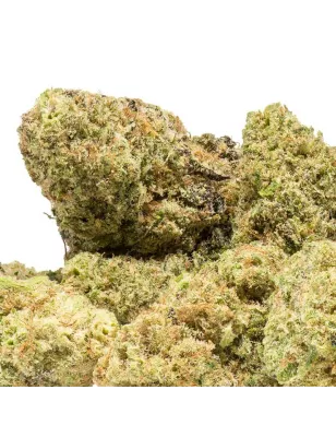 Extract Lab – Harlequin X Cannatonic Indoor 5g/10g