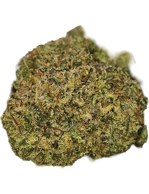 Gaiabis – White Widow Fleurs de CBD Indoor 5g/10g