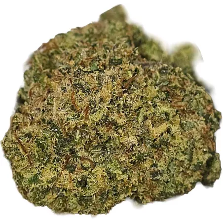 Gaiabis – White Widow Fleurs de CBD Indoor 5g/10g
