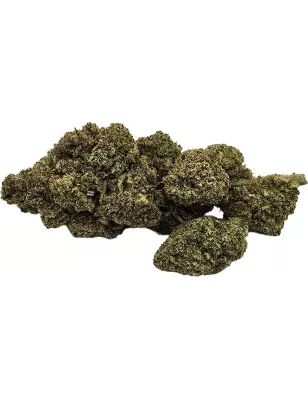 Gaiabis – White Widow Fleurs de CBD