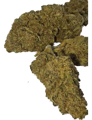 Gaiabis – Frozty Fleurs de CBD Indoor