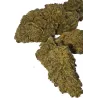 Gaiabis – Frozty CBD Indoor Blüten 5g/10g