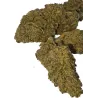 Gaiabis – Frozty Fleurs de CBD Indoor