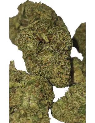 Gaiabis – AK Forte Indoor 5g/10g