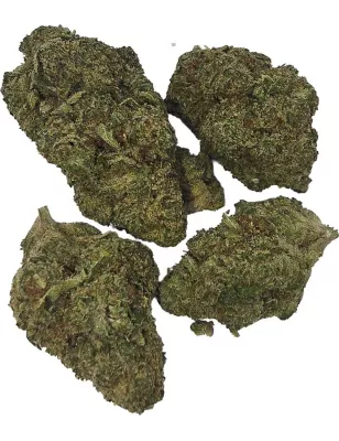 Gaiabis – AK Forte Indoor 5 grammes