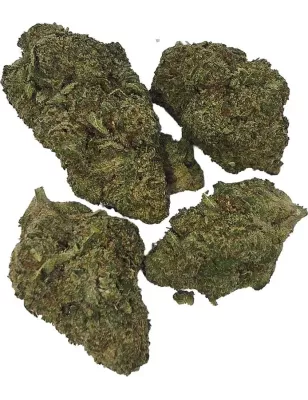Gaiabis – AK Forte Indoor 5 grammes