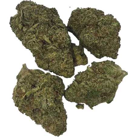 Gaiabis – AK Forte Fleur CBD Indoor 5g/10g