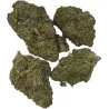 Gaiabis – AK Forte Indoor 5 grammes