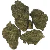 Gaiabis – AK Forte Indoor 5g/10g