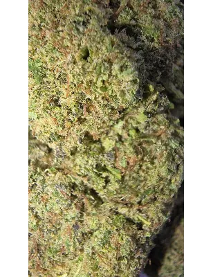 Gaiabis – Blue Dream Fleur CBD Indoor 5g/10g